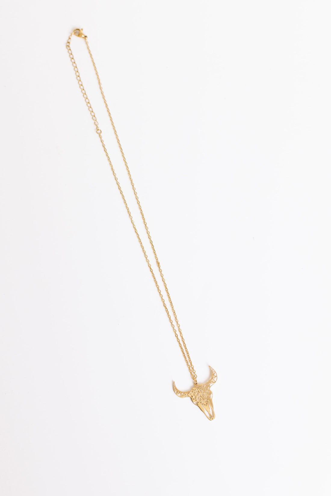 Texas Long Horn Waterproof Necklace