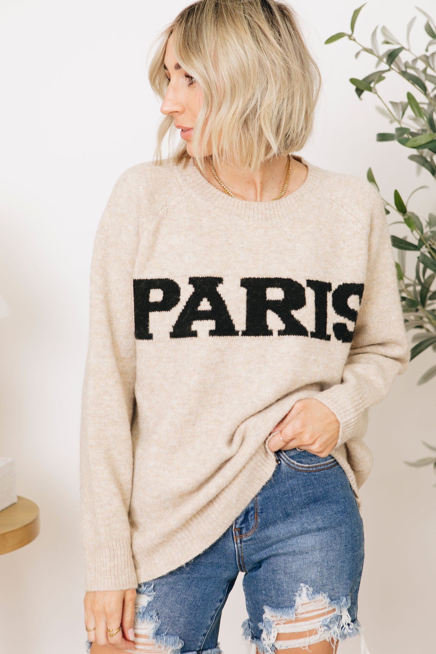 Paris Pullover Sweater (S-3XL)