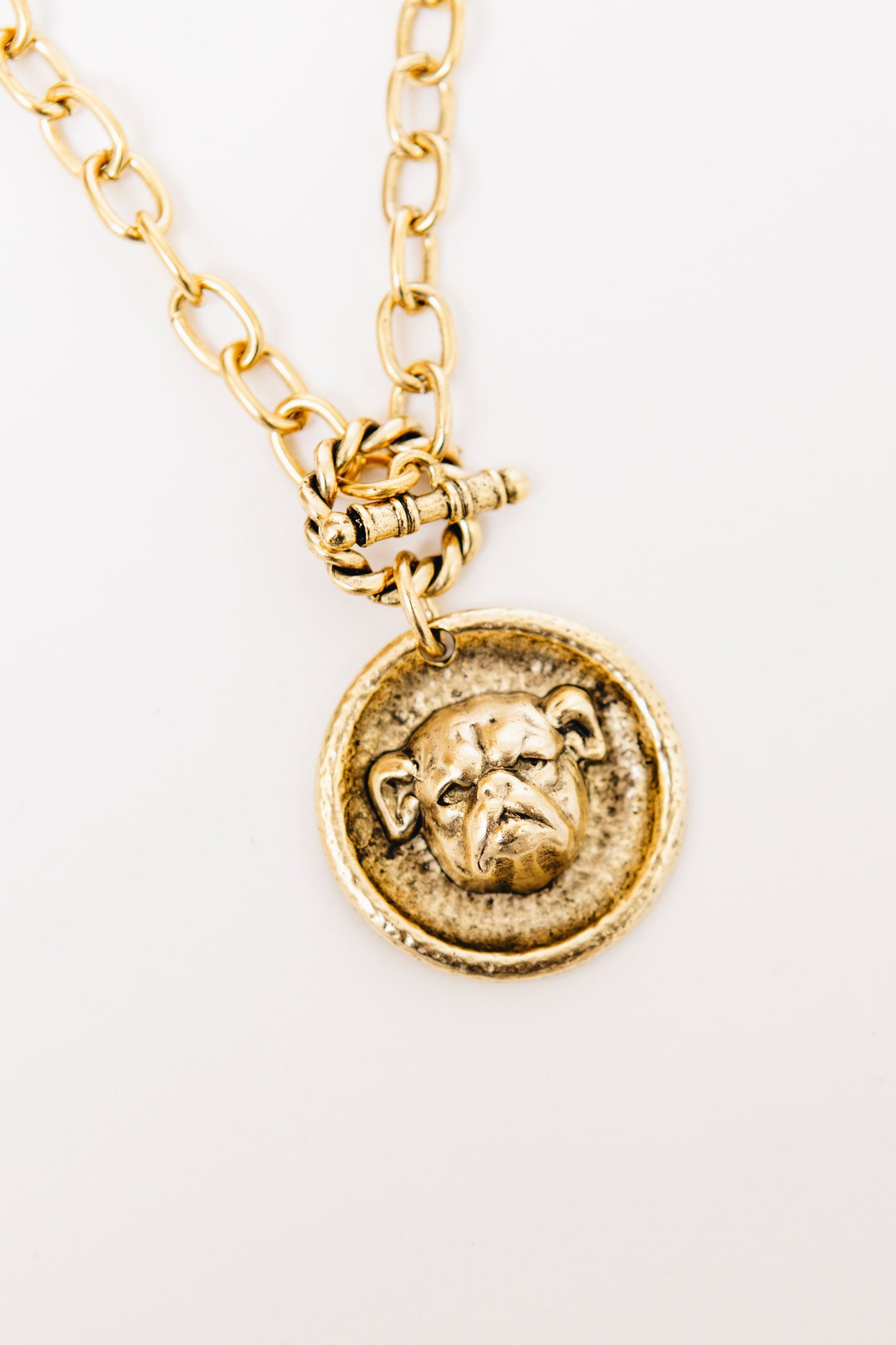Medallion Chain Toggle Necklace